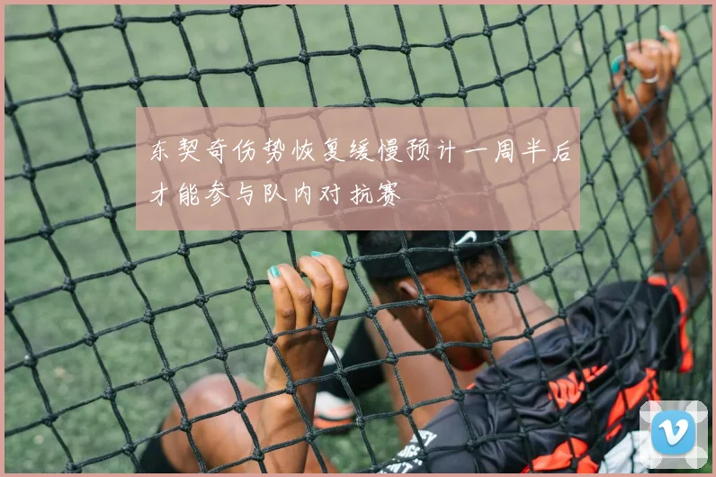 东契奇伤势恢复缓慢预计一周半后才能参与队内对抗赛