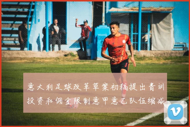 意大利足球改革草案初稿提出青训投资和佣金限制意甲意乙队伍缩减至18队